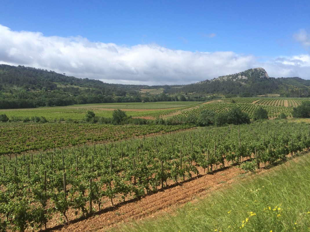 Foodies on winetravel Languedoc