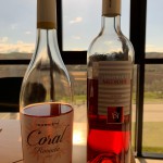 De 2 rosé wijnen van Inurrieta
