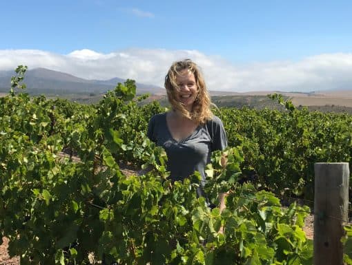 Marieke Kruize: wijnschrijver