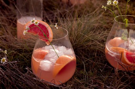 Gin-Tonic met grapefruit uit het kookboek Vegan Summer van Milou van der Will