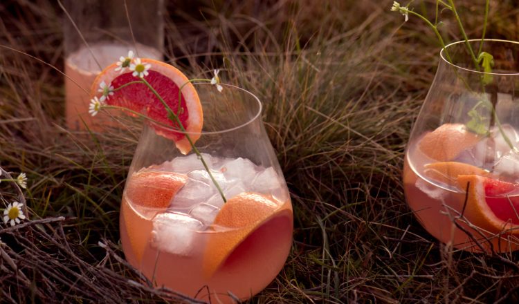 Gin-Tonic met grapefruit uit het kookboek Vegan Summer van Milou van der Will