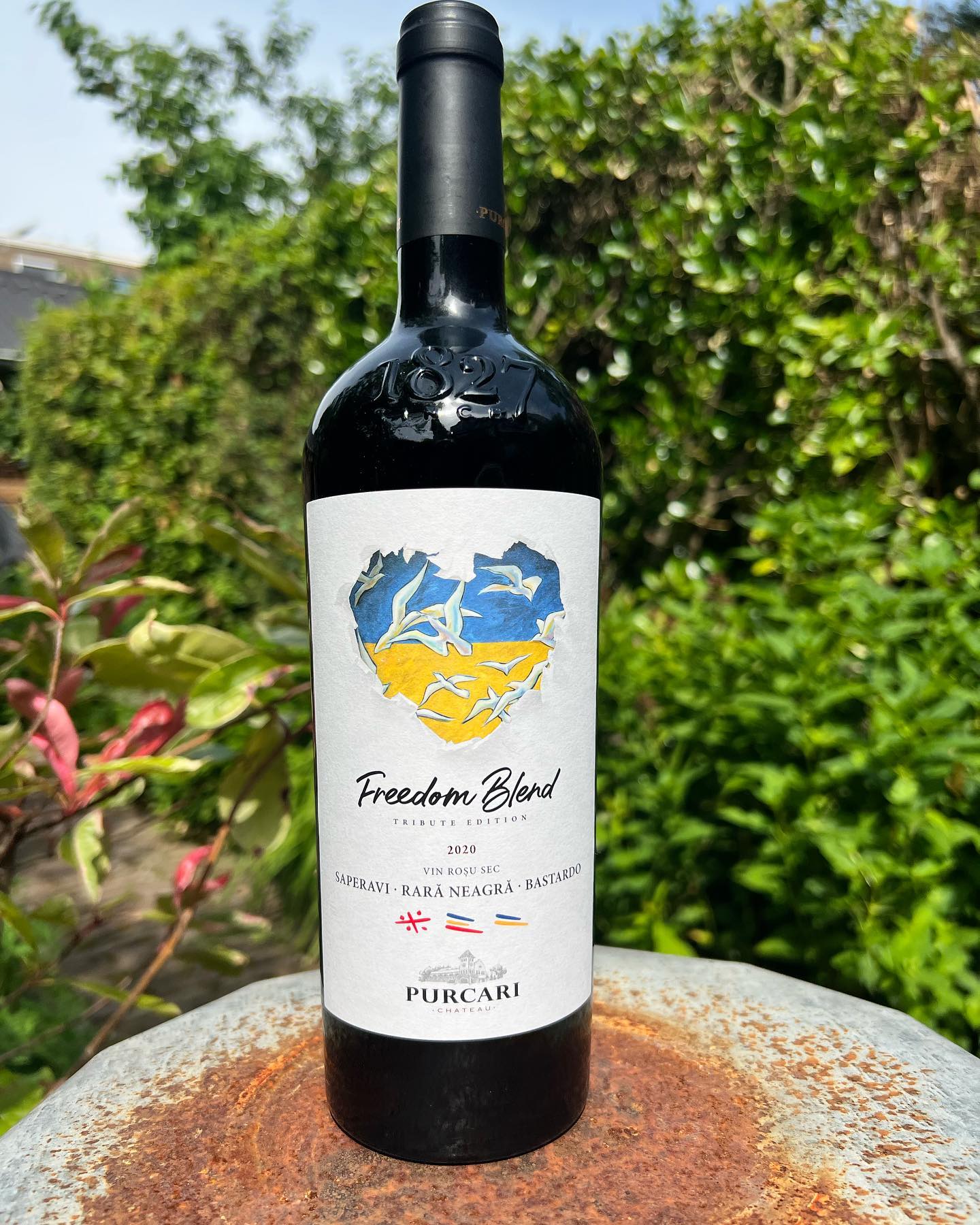 Help Oekraïne via deze fles Freedom Blend! 💰🍇

Wat een mooi initiatief van LFE Wijninkopers. Want met de aankoop van deze wijn steun jij het Chateau. 

Dit wijnhuis Chateau Purcari heeft inmiddels al bijna 12.000 vluchtelingen geholpen in een 24/7 hulpcentrum op het Chateau. 
LFE (Vinify) doneert de winst van 2021 + 2022 van álle Purcari-wijnen aan het Chateau. Hoe mooi is dat! 🙌 

Deze rode wijn is gemaakt van drie druiven: Bastardo (Oekraïne), rarã neagrã (Moldavië) en Saperavi (Georgië). Hij smaakt fluweel zacht en elegant. Mooie frisse zuren, maar ook zwart fruittonen met wat kruidnagel en chocola. Echt iets voor de BBQ! 

En dat BBQ-kookboekje van Vinify kun je ook downloaden. Zie link in mijn bovenstaande bio!

@pitch.pr @vinifywijn @purcari_wines #oekraïne #rodewijn #redwinelover