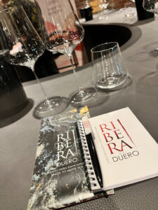 Ribera del Duero wijnen proeverij