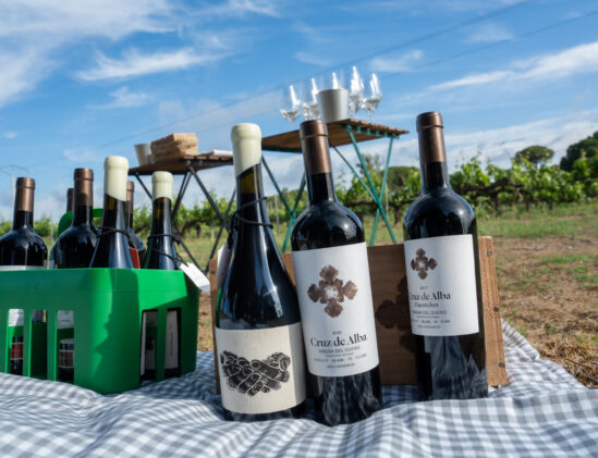 Proeven bij bodega Cruz de Alba in de wijngaard in Ribera del Duero 