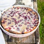 Cherry clafoutis. Homemade cherry pie on rustic background. Recept van Alain Caron, uit het kookboek De bijbel van de Franse keuken.