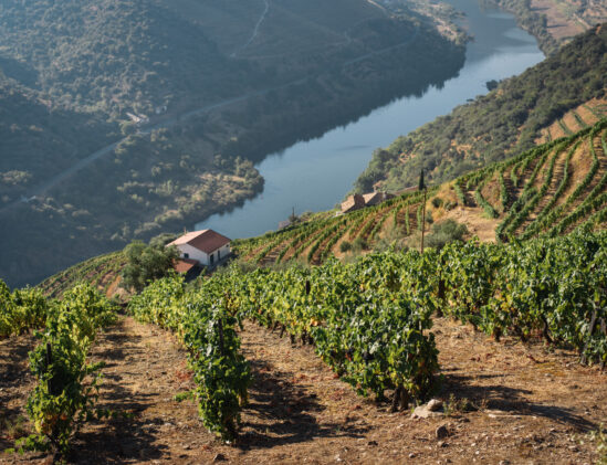 Douro vallei Foto Douro Valley door Maksym Kaharlytskyi op Unsplash